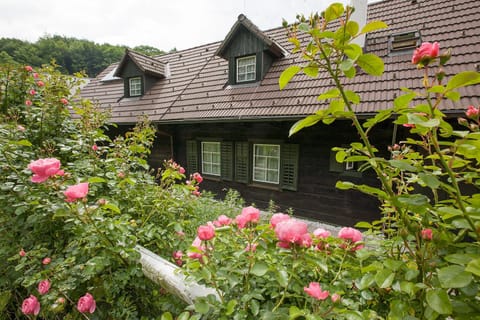 Property building, Garden, Balcony/Terrace