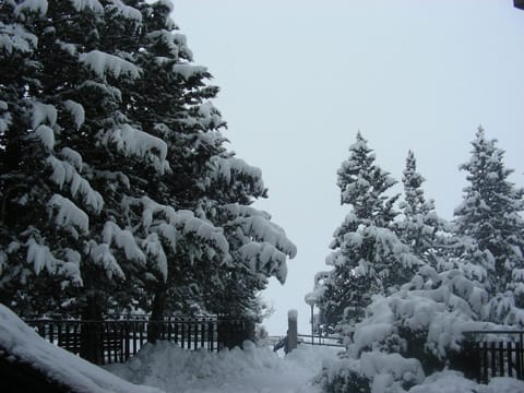 Natural landscape, Winter
