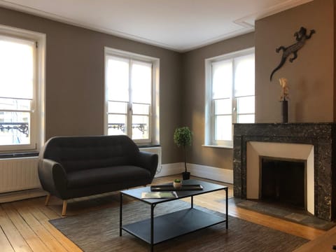 Le Petit Graoully Apartment in Metz