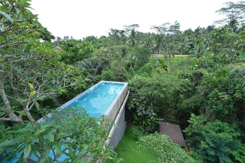 Garden, Balcony/Terrace, Swimming pool