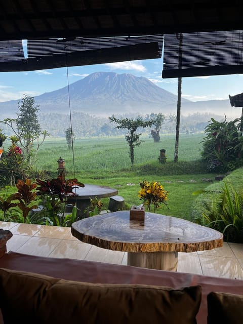 Restaurant/places to eat, Garden view