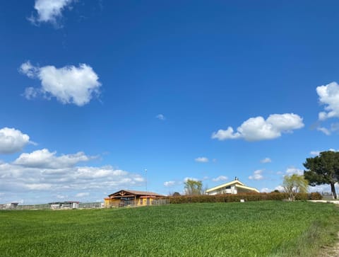 Natural landscape