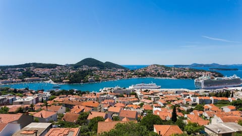 Neighbourhood, Natural landscape, Summer