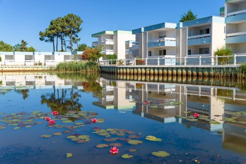 Lake view