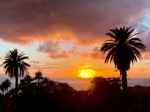 Sea view, Sunset