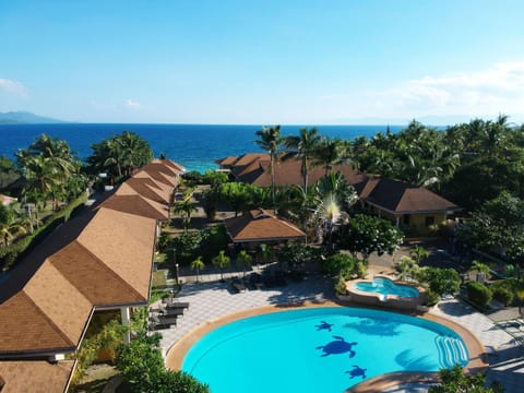 Bird's eye view, Swimming pool
