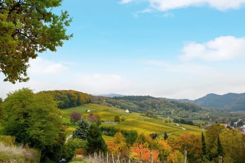 Ferienhaus Zur Alten Dame House in Baden-Württemberg