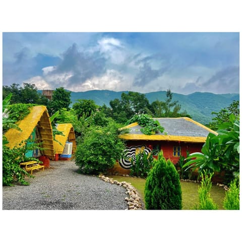 Property building, Restaurant/places to eat, Day, Garden, Garden view