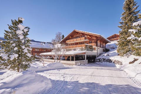 Bielholz Apartment in Grindelwald