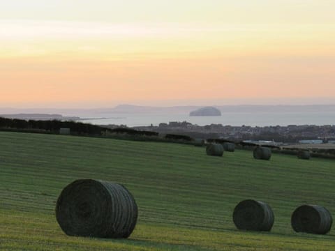 Golden Oak Chalet Apartment in Scotland