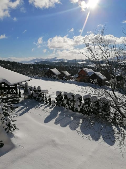 PENEMA Apartment in Zlatibor