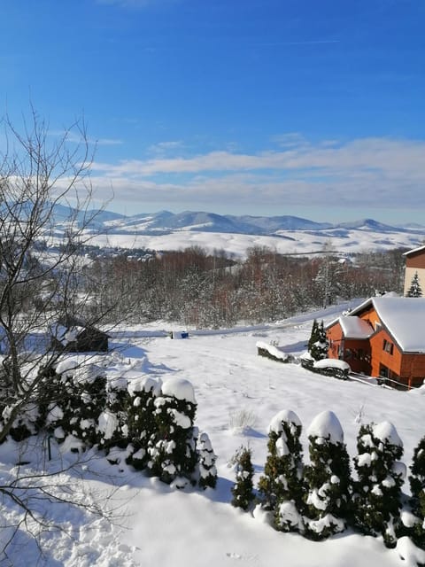 PENEMA Apartment in Zlatibor