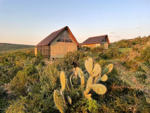 Property building, Spring, Natural landscape