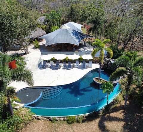 Day, Garden, Garden view, Pool view, Swimming pool, sunbed