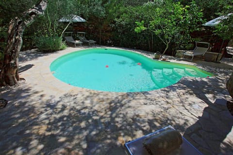 Garden, Other, Swimming pool, sunbed