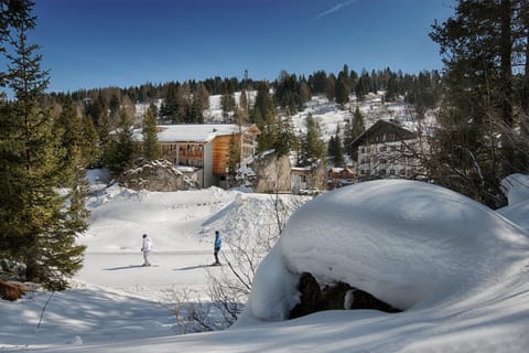 Skiing, Skiing