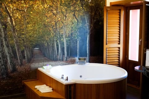 Hot Tub, Photo of the whole room, Bedroom