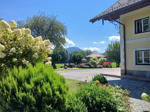 Day, Natural landscape, Garden, Garden view