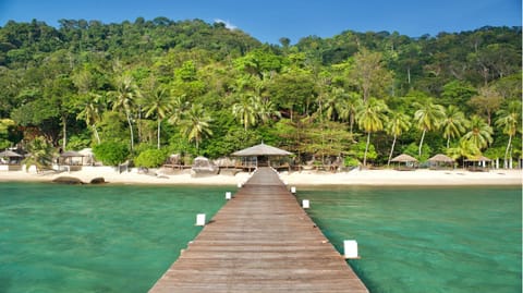 Day, Natural landscape, Beach