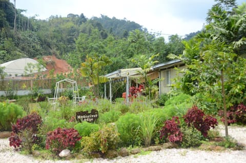 Day, Garden