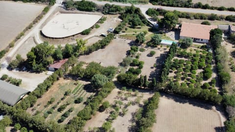 Property building, Bird's eye view