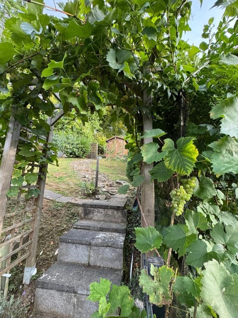 Inner courtyard view