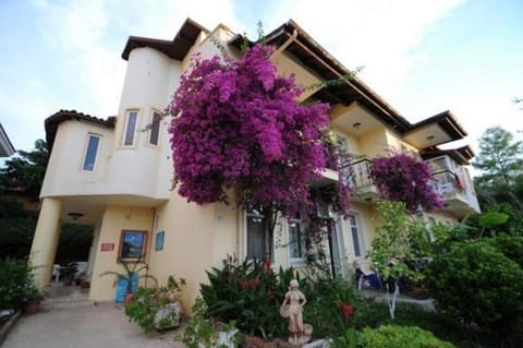 Facade/entrance, Garden