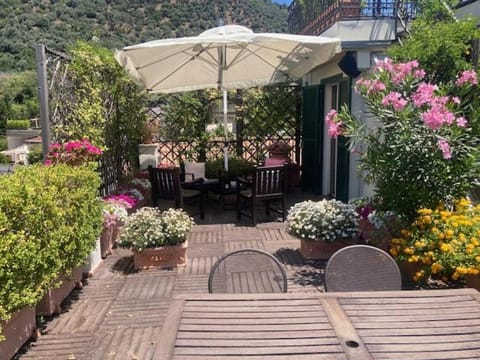 Patio, Spring, Balcony/Terrace, Dining area