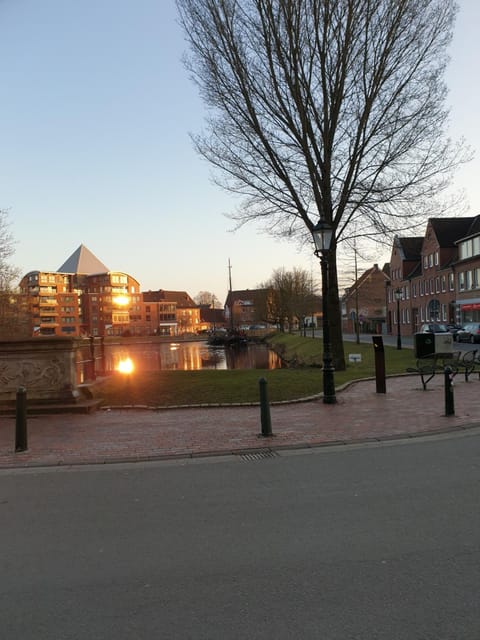 Neighbourhood, City view