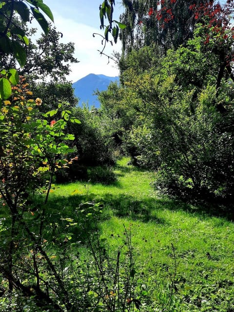 Ferienhaus Graziadei House in Grassau