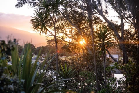 Bow Street Apartments & Cottage Motel in Raglan