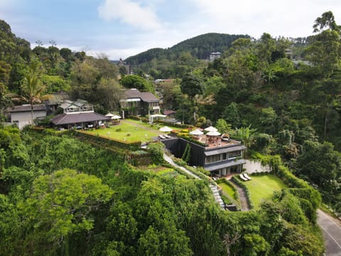 Property building, Bird's eye view