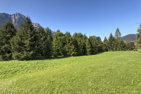 Garden, Garden view, Mountain view
