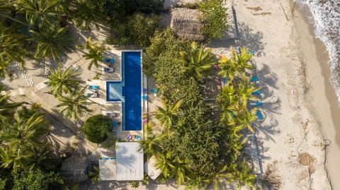 Natural landscape, Bird's eye view, Beach, Sea view, Swimming pool, sunbed