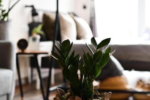 Celta Home Apartment in Vigo