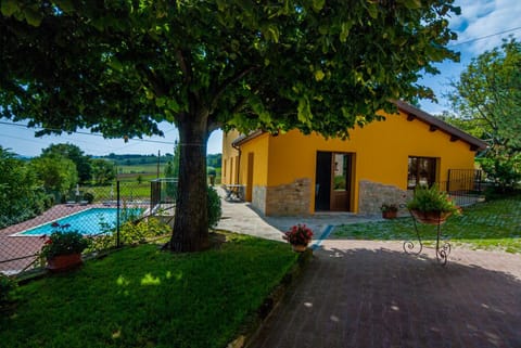 Garden, Swimming pool