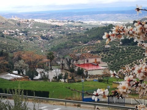 Property building, City view, Garden view, Street view