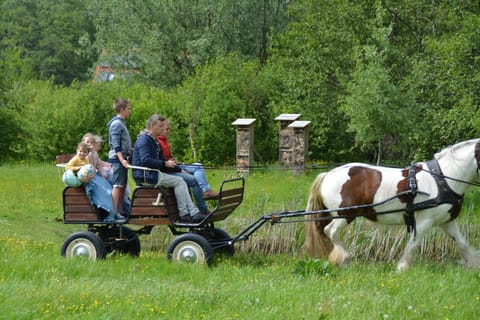 B&B Cambiare Bed and Breakfast in Flanders