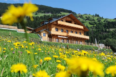 Day, Activities, Bird's eye view, Summer, Hiking, Cycling