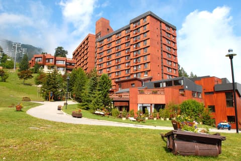 Property building, Summer