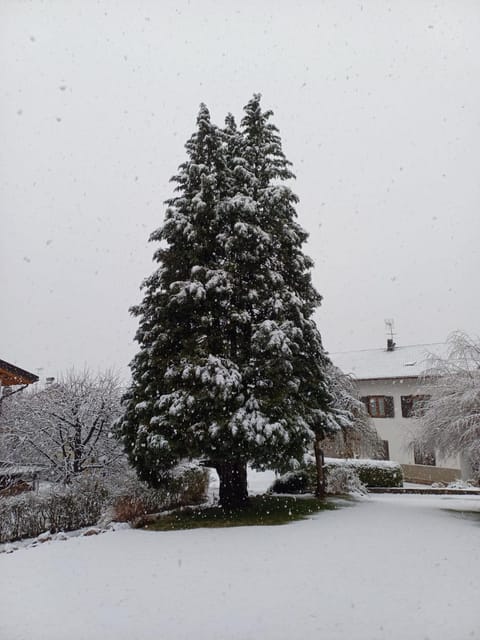 Appartamento Tenaglia House in Trentino-South Tyrol