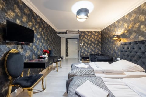 Bed, TV and multimedia, Living room, Photo of the whole room, Evening entertainment, Bedroom, air conditioner