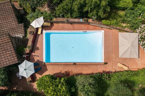 Day, Garden view, Pool view, Swimming pool, sunbed