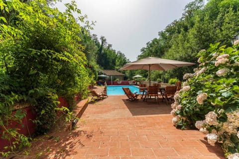 Patio, Day, Natural landscape, Dining area, Garden view, Pool view, Swimming pool, sunbed