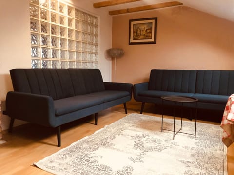 Central apartment Apartment in Serbia