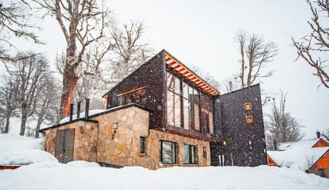 Natural landscape, Winter