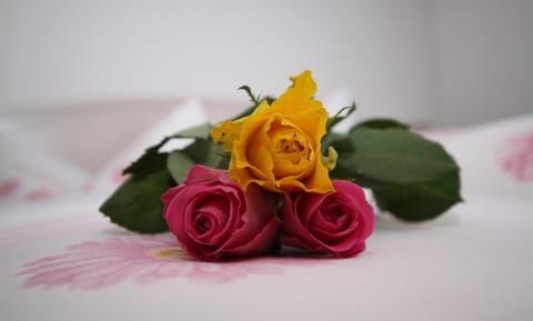 Apart Peter Apartment in Canton of Grisons