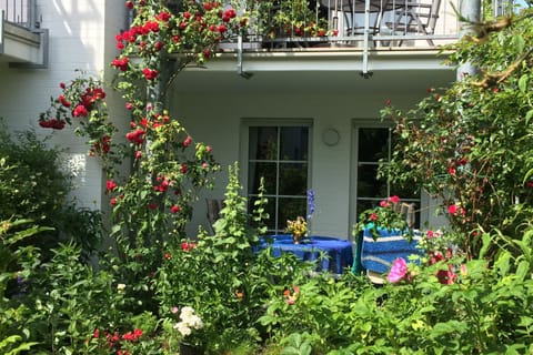 Strandkieker 14, PP innen Apartment in Zingst