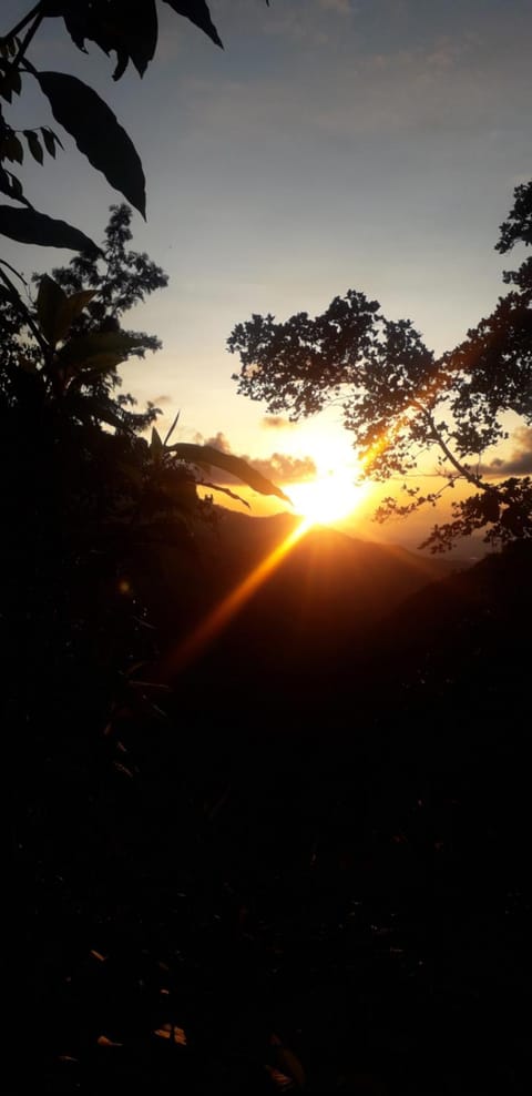 On site, Sunrise