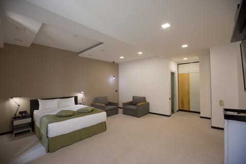 Bed, TV and multimedia, Living room, Photo of the whole room, Bedroom, wardrobe